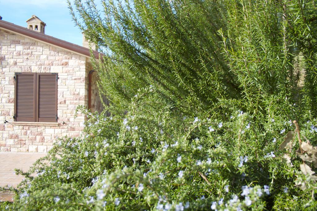 B&B Lavanda E Rosmarino Assisi Kültér fotó