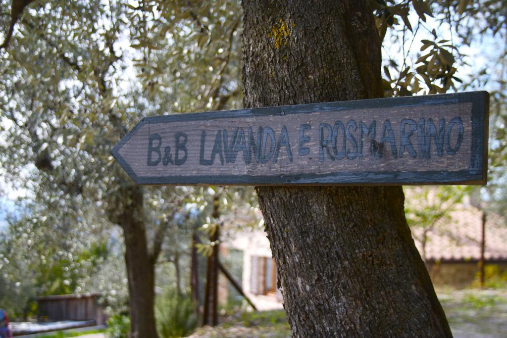 B&B Lavanda E Rosmarino Assisi Kültér fotó