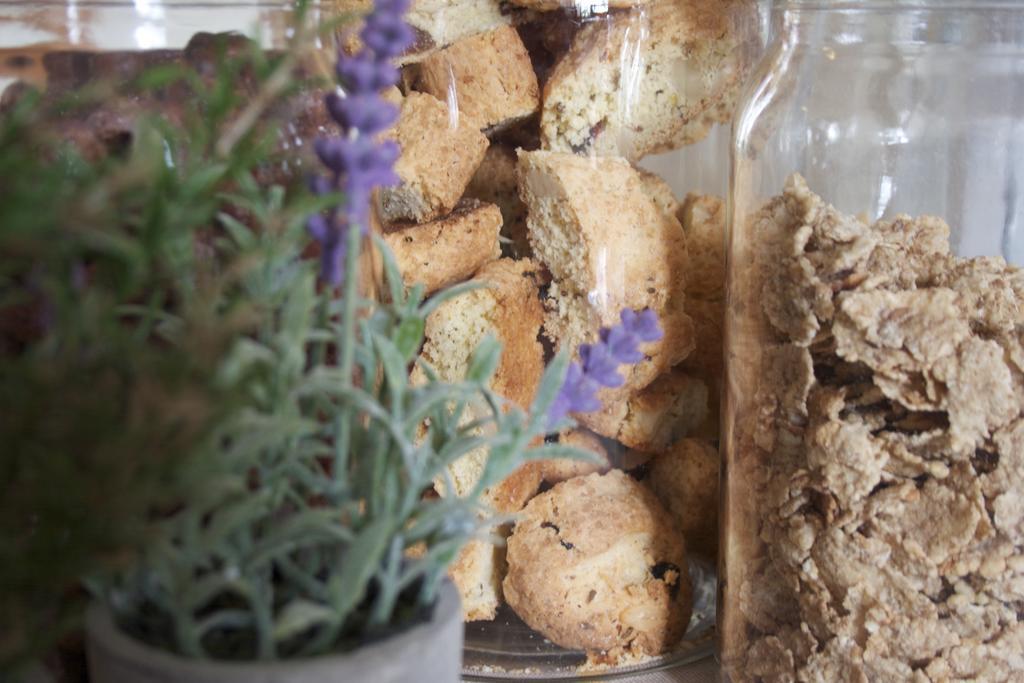 B&B Lavanda E Rosmarino Assisi Kültér fotó
