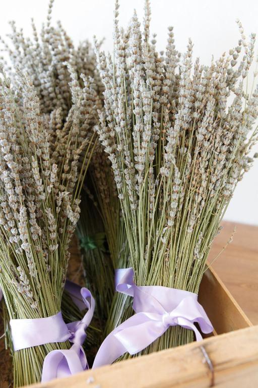 B&B Lavanda E Rosmarino Assisi Kültér fotó