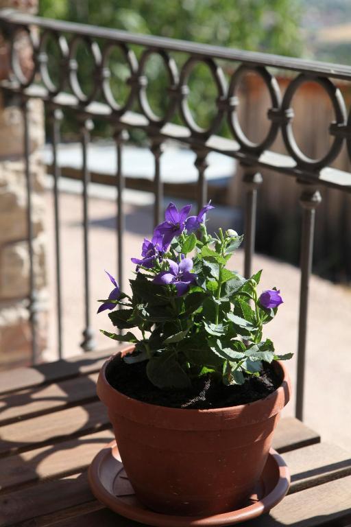 B&B Lavanda E Rosmarino Assisi Kültér fotó