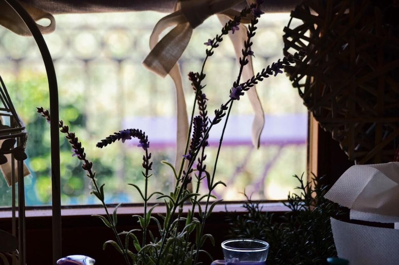 B&B Lavanda E Rosmarino Assisi Kültér fotó